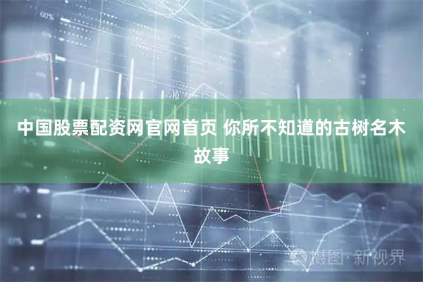 中国股票配资网官网首页 你所不知道的古树名木故事